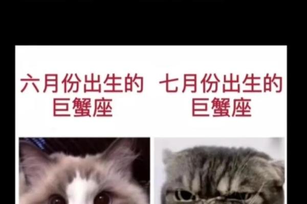 巨蟹座怕动物吗男生性格