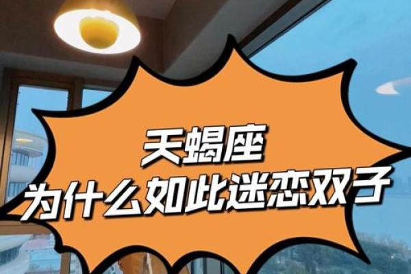 双子座男天蝎座女婚姻