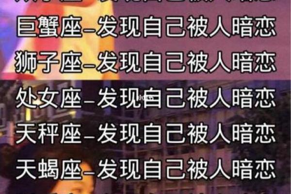 处女座和双子座合适吗,处女座女和双子座男合适吗