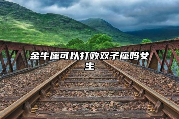 金牛座和双子座;金牛座和双子座做夫妻好不好
