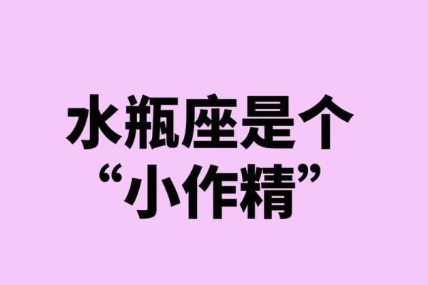 属猪水瓶座女婚姻缘
