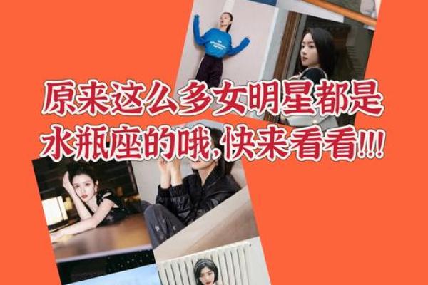 属猪水瓶座女婚姻缘