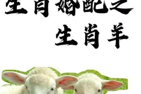 2020年属羊结婚吉日精选推荐及注意事项(2020年属羊结婚吉日精选推荐及注意事项是什么)