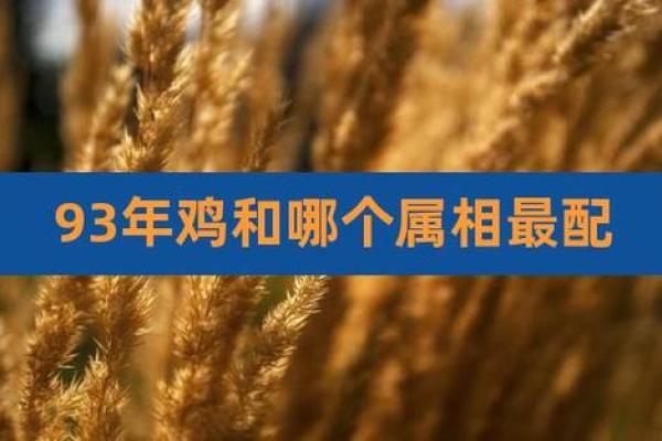 93年属鸡结婚吉日选择指南与注意事项 1993年属鸡结婚吉日