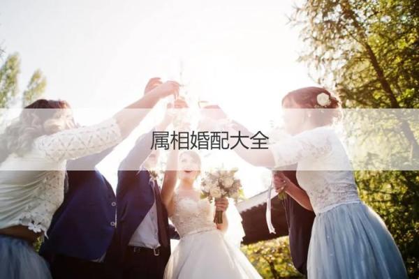 属鸡属狗结婚吉日推荐喜庆良辰选定指南(属鸡属狗结婚好吗)