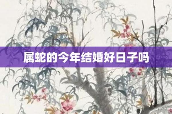 2024年属蛇结婚吉日推荐与婚礼规划指南(属蛇人2024年命运)