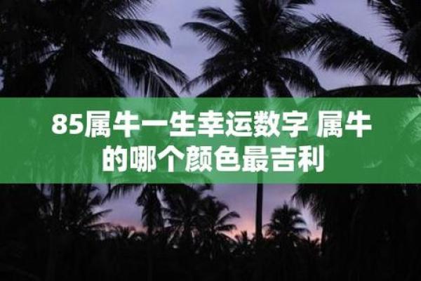 1985年属牛的2025年运势和财运怎么样-85年属牛2025年运势及运程每月运程