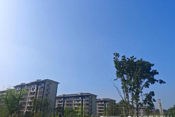 两人婚配吉日选择与命理分析建议(两人结婚吉日)