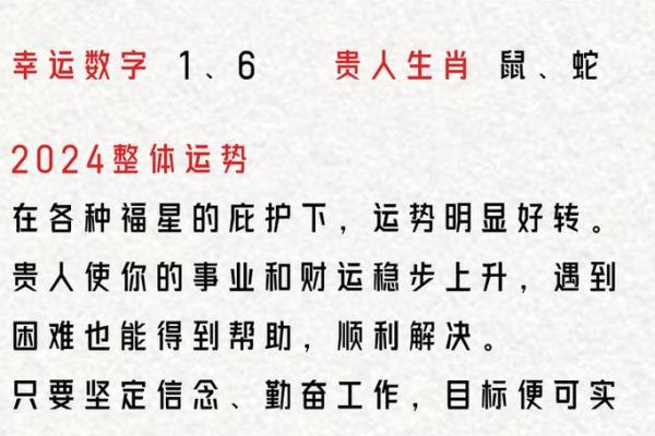 1987年属兔的2025年运势和财运怎么样—1987年的兔在2024年的运势怎么样