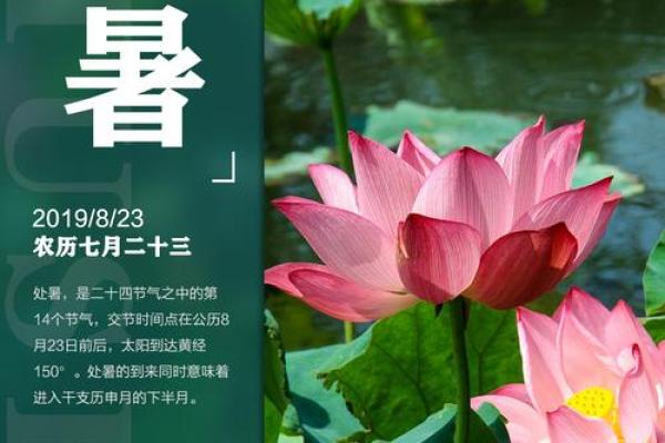 查一下今天是什么日子、今天是什么特殊的节日吗