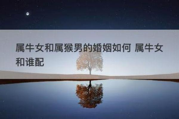 2020年属牛女最佳结婚吉日推荐与解析(属牛女的最佳结婚时间)