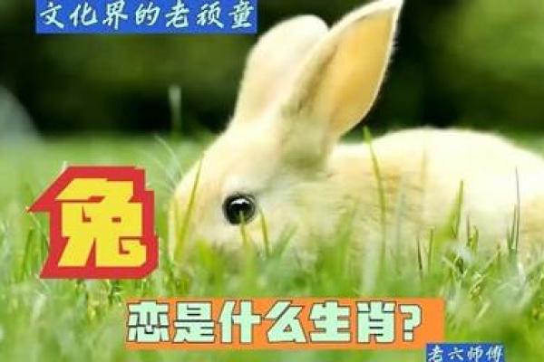 三从四德是什么生肖-三从四德是什么生肖动物代生肖答