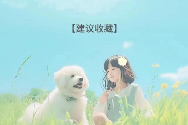 重阳节是什么日子;重阳节是什么日子百科