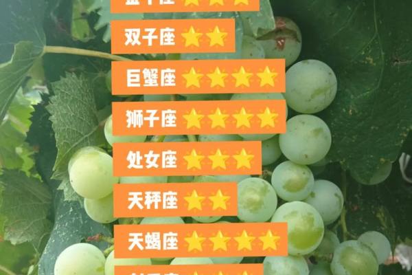 天蝎和处女座合不合适(天蝎和处女座合不合适当朋友呢女生)