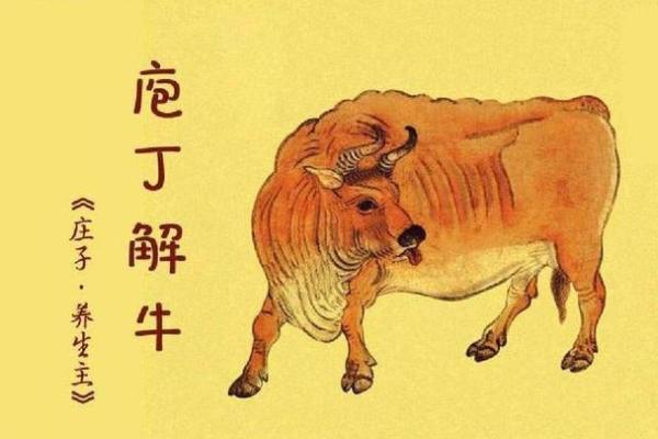 狡兔三窟打一生肖_狡兔三窟打一生肖必中