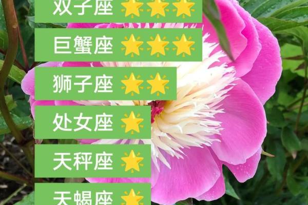 今天双子座女的运气(双子座女今天的运事)