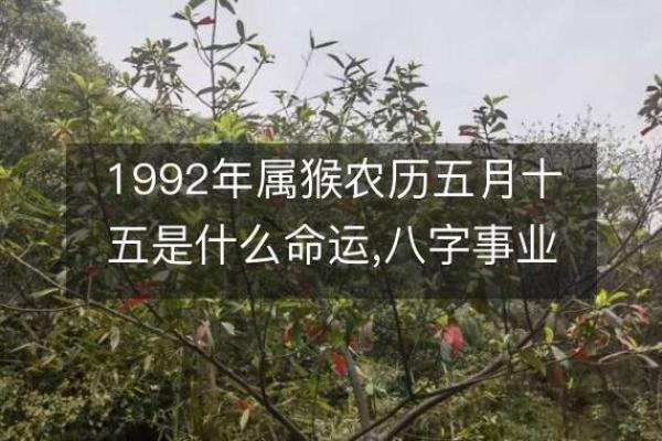 92年属猴女结婚吉日选择(92年属猴女婚姻什么时候)