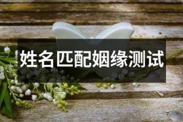 姓名笔画配对测试两人关系;姓名笔画配对测试两人关系除以二