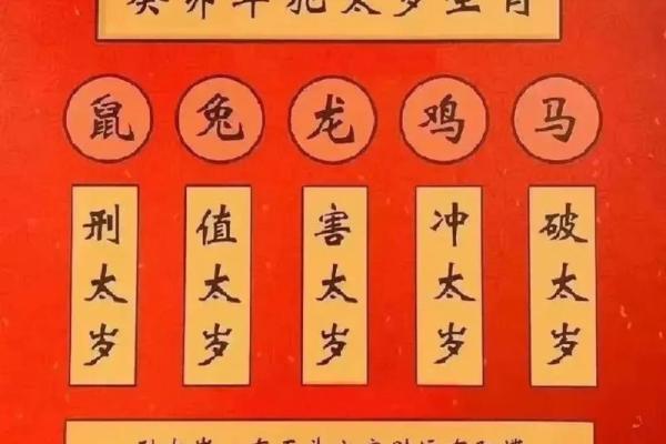兔年癸卯年怎么读(葵卯兔年)