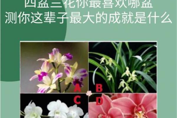 免费测2个人的缘分_最准的免费姓名配对