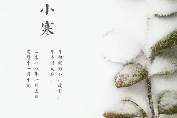 枯木逢春打一个生肖,枯木逢春打一个生肖准确答案