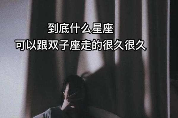 双子座后面-双子座后面的
