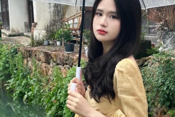 缘分落地生根-缘分落地生根是我们歌词