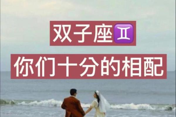 双子座男,双子座男和什么座最配对