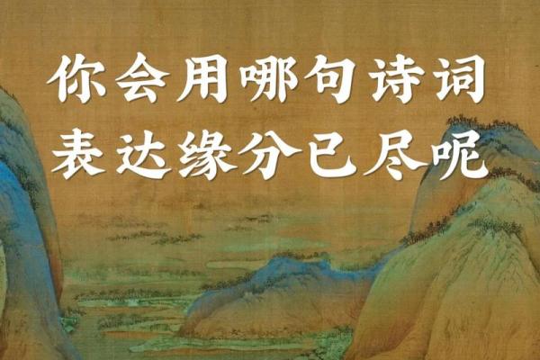 缘分的诗句_表达朋友相遇是缘分的诗句