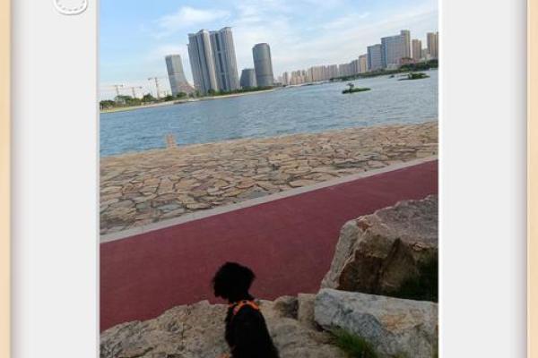 双子座和狮子座的配对指数是多少、双鱼座和双子座配对指数
