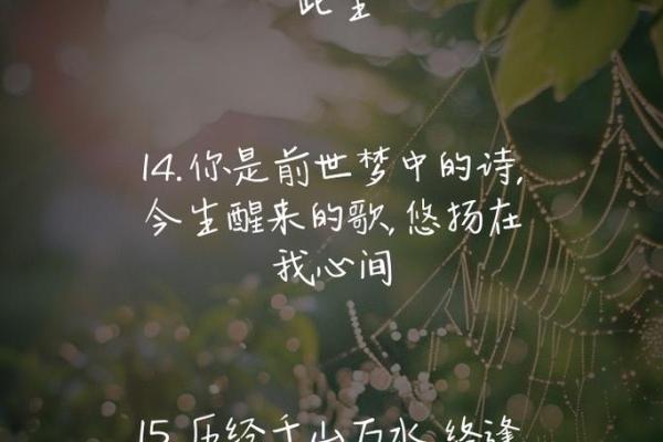 前世缘分未尽的特征-前世缘分未尽今生再续前缘