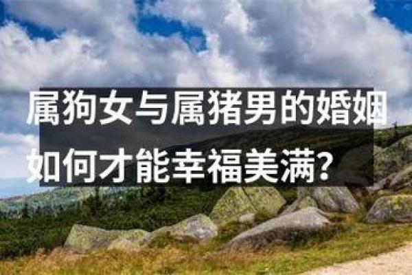 属猪男2025年的婚姻感情;2020属猪男人的婚姻