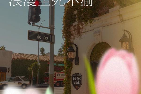 2024年12月婚姻登记吉日良辰 共筑爱巢甜蜜一生