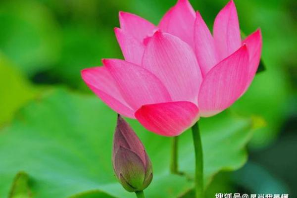 2024年12月鸿运当头吉日 年末抓住财富好时机