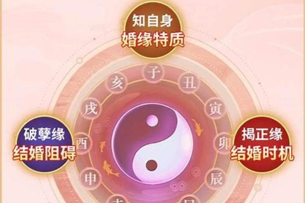岁末添丁喜迎好运 十二月生子八字命理全解