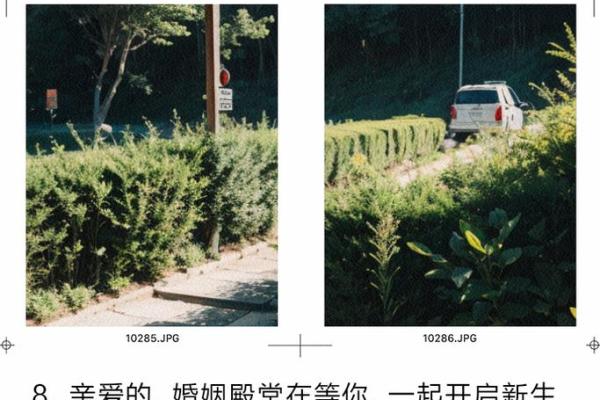 2024年12月结婚黄道吉日推荐 迈向幸福婚姻殿堂