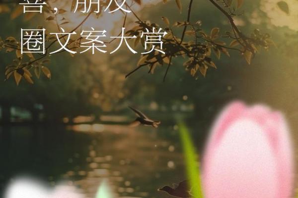 2024年12月怀孕吉日一览 迎接新生命的到来