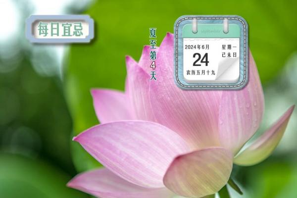癸卯年冬月修造吉日速查 2024年12月动土吉日宜忌