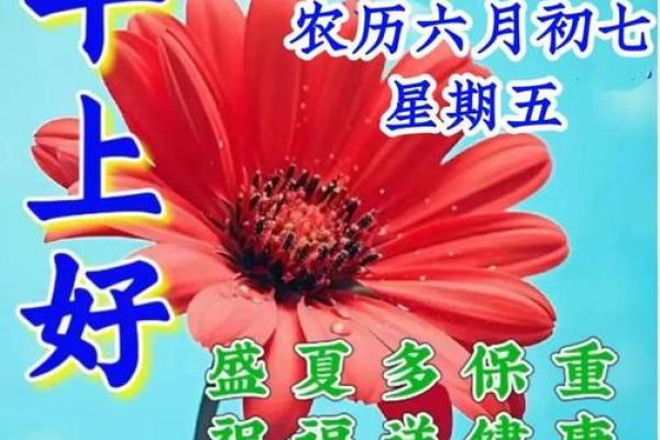 2024年12月最佳进宅日 开启美好家居生活
