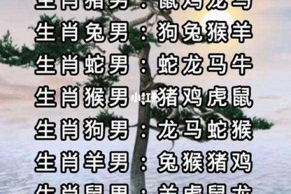 八字和属相 合婚哪个重要，八字和属相哪个更准