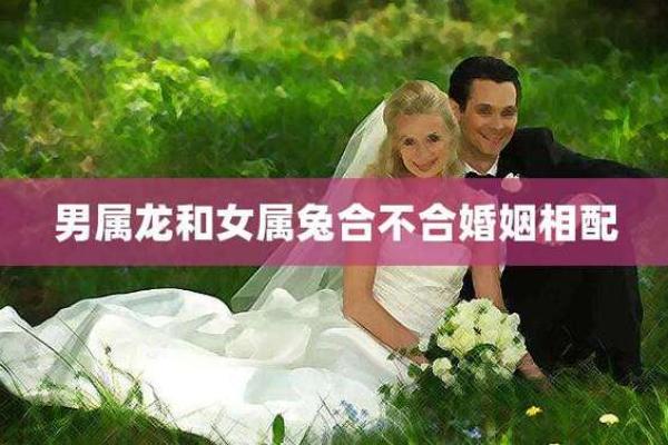 男属兔女属兔婚姻相配吗，男属兔和女属马的婚姻相配吗