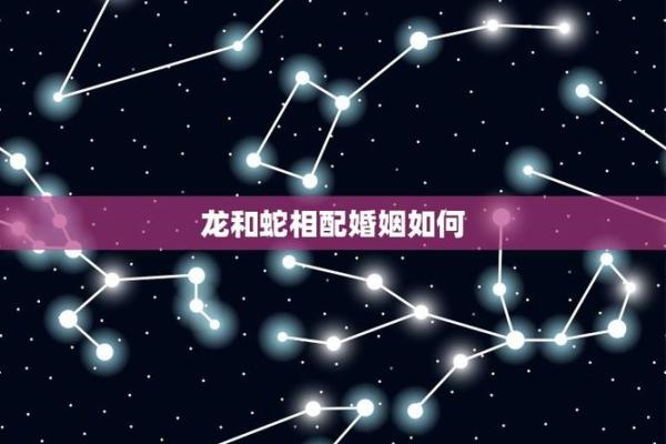 男鼠女虎相配的姻缘好吗，男龙女兔婚姻相配吗