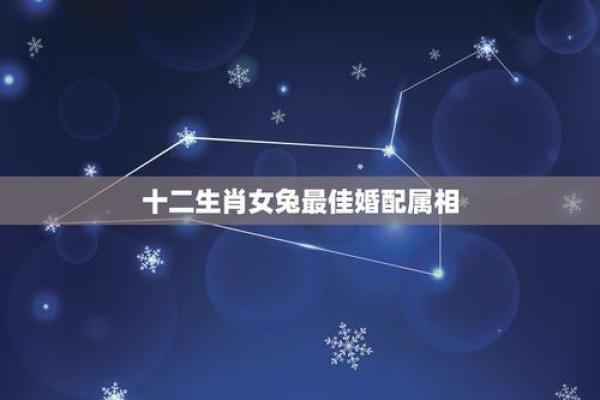 属兔和什么生肖最配对，属兔跟什么生肖配对最好