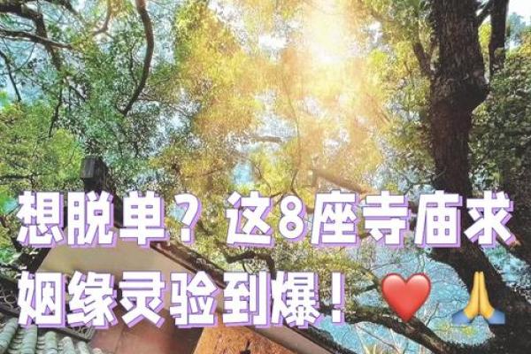 祈求姻缘的句子，祈求姻缘的句子经典语录