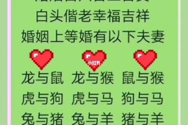 免费婚姻配对，免费婚姻配对查询