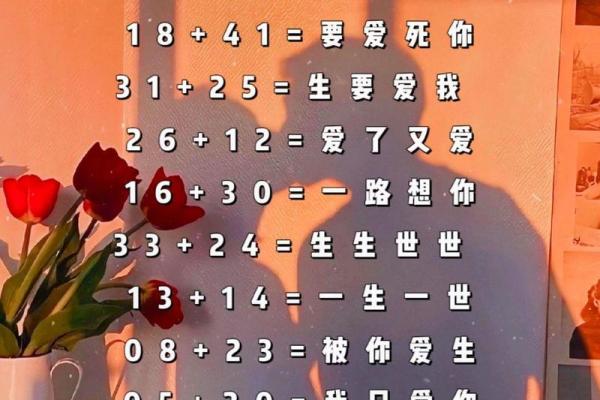 生日匹配婚姻，生日配对指数
