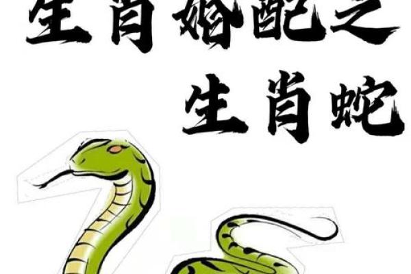 男鼠女蛇婚姻是否相配，男鼠女蛇婚姻最终结局