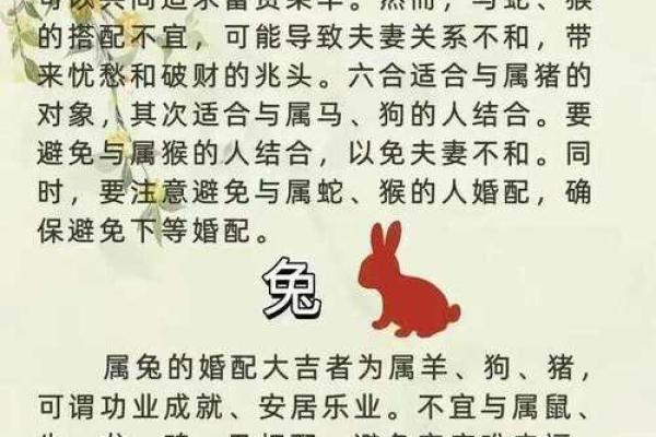 生肖配对查询 男女 婚姻免费测试，生肖配对在线查询
