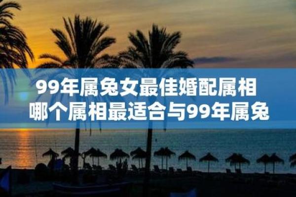 1999年属兔女婚姻配对表，1999年属兔女的婚配属相
