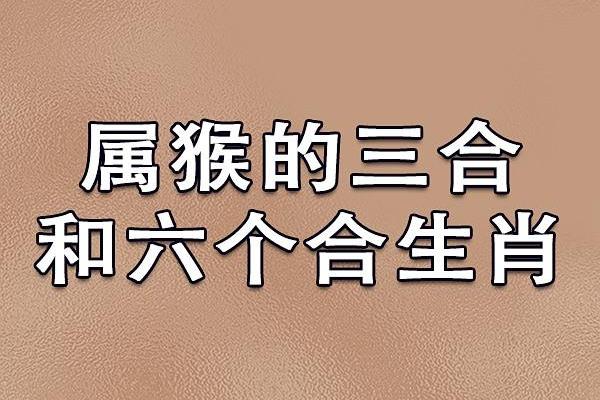 兔和猴属相合不合婚姻，兔和猴相合还是相克